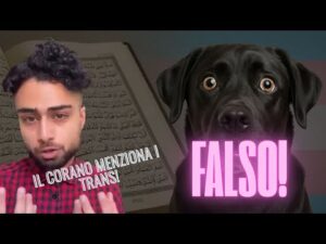 IL CORANO PARLA DEI TRANS? FALSO! *REACTION* #islam #lgbtq #iran #pakistan