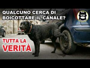 Qualcuno cerca di boicottare il canale? Tutta la verit&agrave;.